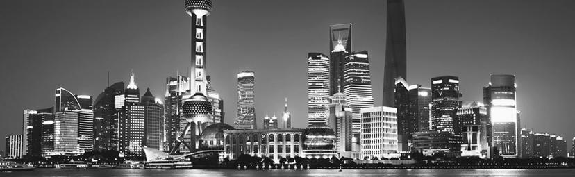 Shanghai Skyline