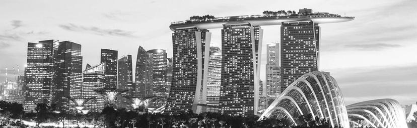 Singapore Skyline