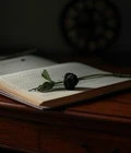 Death and Taxes