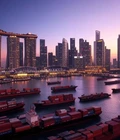 Singapore and China Free Trade Agreement: How to Reduce Import Duties into China