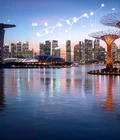 Singapore Budget 2020