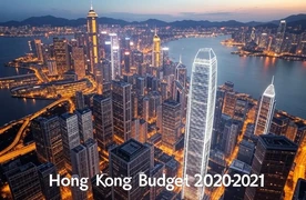 2020-2021年香港预算案