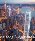 2020-2021年香港预算案